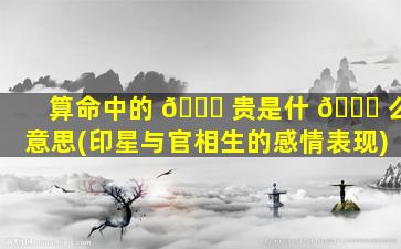 算命中的 💐 贵是什 💐 么意思(印星与官相生的感情表现)